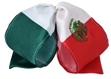 10057 Mono Charro Fino Bandera Mexico Economico